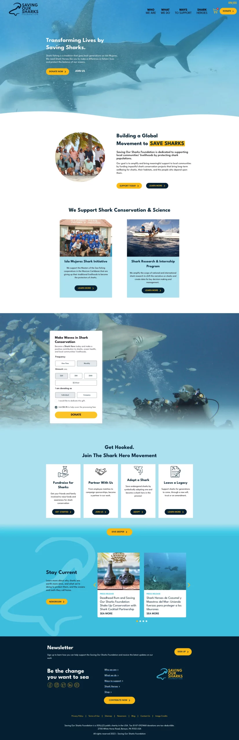 Saving Our Sharks Foundation Nonprofit Website Design Service